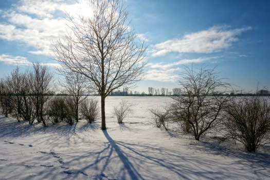 Bild zur Nachricht Wintermenü